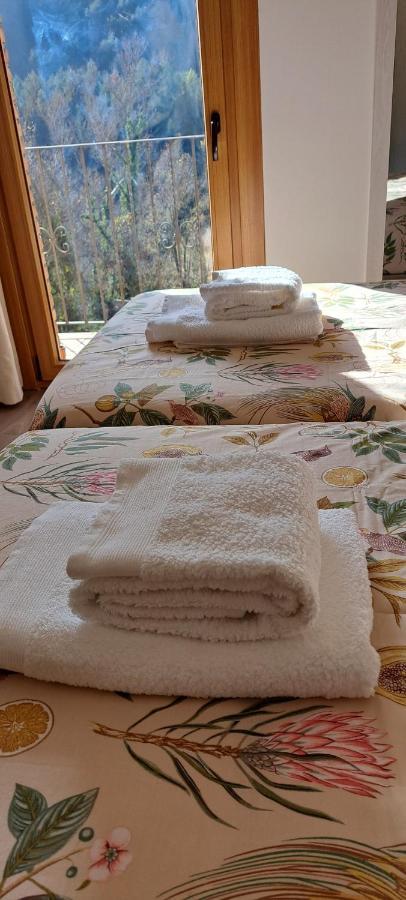 Cal Bardillo Apartment Bagá Екстериор снимка